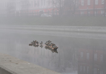 Утром в октябре... / Туман в городе...
