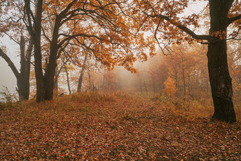 Октябрь. / Осень,туман,рассвет