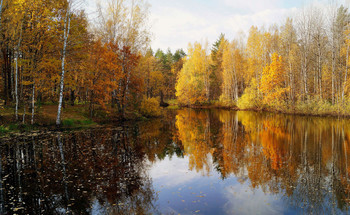 Осенний пейзаж / Лесное озеро. Октябрь.