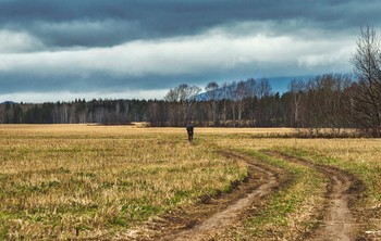 через поле / Поселок Елкино, 27 октября 2019 года от Р. Х.