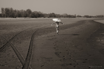 &nbsp; / недалеко от Тольятти