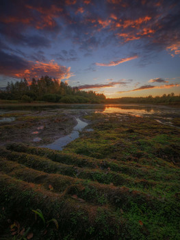 Сентябрьский закат на болотах / Егорьевский район, Московская область.