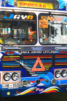 bus / bus