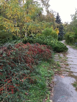 Кишинёвский сквер / фото сделано 25 октября 2019 года в секторе Ботаника города Кишинэу
