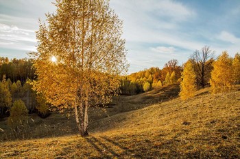 &nbsp; / п.Новочувашский,Татарстан