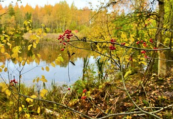 &quot;Простое утро осени печальной ...&quot; / &quot;Простое утро осени печальной,
 Как грусть времен в течении речном ...&quot;
 А.Набиев