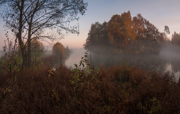 Осеннее утро / утро, осень, Фрязино, Гребнево