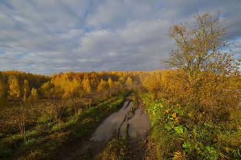 Дорога в осень / Россия. Тульская область. Ленинский район. Архангельское.