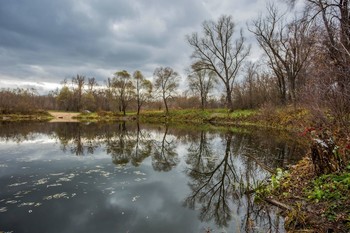 Последний аккорд осени / озеро Теплое,п.Крутушка,Татарстан