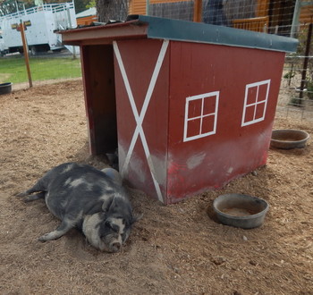 Уют / Каждому - своё