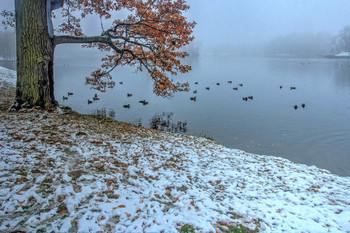 В октябре / Царское Село