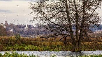 &nbsp; / В пойме Москвы реки.