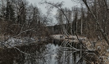 речная фоточка / Город Лесной, 04 ноября 2019 года от Р. Х.