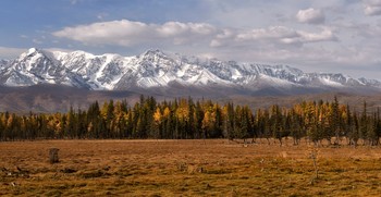 Алтайская осень. / Осень на Алтае во всей красе.