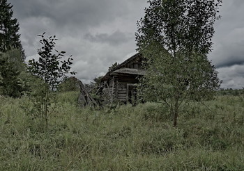 Выми рашка / деревня Коптево, зубцовский район, тверская область