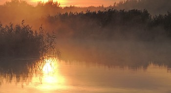 В утреннем тумане / ***