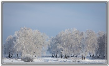 звенящая тишина / осеннее утро, морозец и такая тишина...