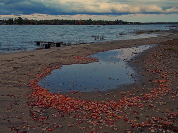 Дождливое настроение / Georgian Bay, Canada