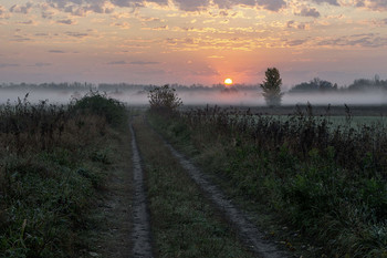 Сельский рассвет / утро,рассвет,туман