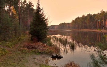 Осеннее лесное озеро / Осеннее лесное озеро