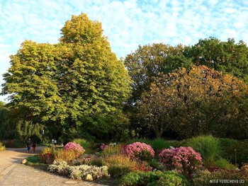 Planten un Blomen Hamburg / Осень в парке цветов. Альбом «Парки, вересковая долина, дюны»: http://fotokto.ru/id156888/photo?album=75053

Парк цветов весной: https://www.youtube.com/watch?v=kJVKlWcQxCg

Осенний бал: https://www.youtube.com/watch?v=QshlHtT0t6g

https://www.instagram.com/nina.yudicheva/

Моё фото на конкурсе «Настроение: золотая осень»:
http://fotokto.ru/photo/concurs?id=166&amp;success#concurs127318