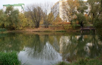 Два дерева у реки / У реки Городня, Москва