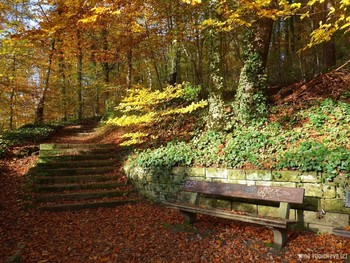 Harburger Stadtpark &amp; Außenmühlenteich Hamburg / Альбом «Пейзаж»: http://fotokto.ru/id156888/photo?album=76852 Альбом «вересковая долина, парки, дюны»: http://fotokto.ru/id156888/photo?album=75053
Необыкновенно красивое место отдыха в Гамбурге Harburger Stadtpark &amp; Außenmühlenteich. Это искусственное озеро в районе Гамбург-Хагбург (Hamburg-Harburg) длиной около 1 км и шириной 250 метров. На южном и западном берегах озера находится гороской парк района Харбург, на восточном берегу озера раскинулся роскошный развлекательный комплекс MidSommerland с бассейнами, кафе, местом для гриля. Вокруг озера "дорога здоровья" для любителей бега, пеших и велосипедных прогулок составляет 5 км. Чайки, лебеди, гуси, канадские казарки, камышницы и лысухи обитают на этом озере. Подробнее в моем блоге: http://fotokto.ru/blogs/aussenmhlenteich-hamburg-harburg-32611.html
Смотрите слайд-шоу об этом парке:
Harburger Stadtpark &amp; Außenmühlenteich Hamburg :

https://www.youtube.com/watch?v=jbG7j-3WUNs

Слайд-шоу "Осенний бал":

https://www.youtube.com/watch?v=QshlHtT0t6g

Моё фото на конкурсе «Настроение: золотая осень»:
http://fotokto.ru/photo/concurs?id=166&amp;success#concurs127318