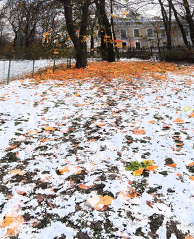 На излете осени / В Михайловском сау Санкт-Петербурга