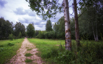 Дорога / Костромская область