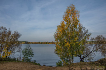 &quot;Осенняя позолота&quot; / Осенний берег Волги.