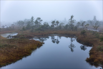 &nbsp; / балтика