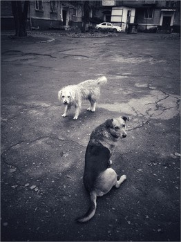 Пространственная композиция / Б/0