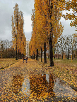 Пространственная композиция / Autumn Alley