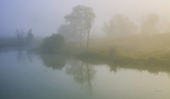 Густой туман. / Летнее утро на озере Омут, юго-восток Московской области