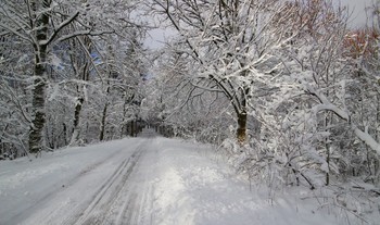 Когда придет зима / Солнечный день после снегопада