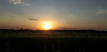 АВГУСТОВСКИЙ ЗАКАТ / Августовский закат- это солнце к тебе покатилось
Через космы лесов, его встретит, любя, океан
Невесомым пером… от высот, даже сердце забилось,
По небесному руслу... феерический самообман…