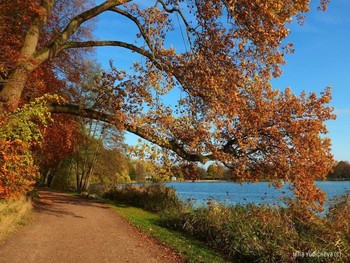 Harburger Stadtpark &amp; Außenmühlenteich Hamburg / Альбом «Пейзаж»: http://fotokto.ru/id156888/photo?album=76852 Альбом «вересковая долина, парки, дюны»: http://fotokto.ru/id156888/photo?album=75053
Необыкновенно красивое место отдыха в Гамбурге Harburger Stadtpark &amp; Außenmühlenteich. Это искусственное озеро в районе Гамбург-Хагбург (Hamburg-Harburg) длиной около 1 км и шириной 250 метров. На южном и западном берегах озера находится гороской парк района Харбург, на восточном берегу озера раскинулся роскошный развлекательный комплекс MidSommerland с бассейнами, кафе, местом для гриля. Вокруг озера &quot;дорога здоровья&quot; для любителей бега, пеших и велосипедных прогулок составляет 5 км. Чайки, лебеди, гуси, канадские казарки, камышницы и лысухи обитают на этом озере. Подробнее в моем блоге: http://fotokto.ru/blogs/aussenmhlenteich-hamburg-harburg-32611.html
Смотрите слайд-шоу об этом парке:
Harburger Stadtpark &amp; Außenmühlenteich Hamburg :

https://www.youtube.com/watch?v=jbG7j-3WUNs

Слайд-шоу &quot;Осенний бал&quot;:

https://www.youtube.com/watch?v=QshlHtT0t6g

Смотрите новое слайд-шоу об этом парке:

https://www.youtube.com/watch?v=cX90GjJAfHA