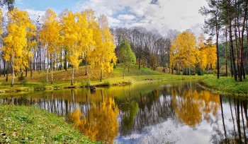 чарует красотой осенняя пора... / Осень.Озеро.И золотые березы...