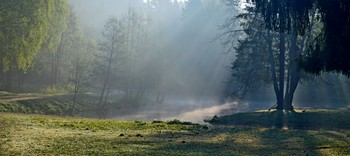 Утреннее.......... / Петербург. Шуваловский парк. Май