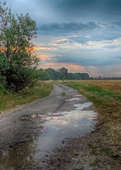 после дождя.. / Лето..Дождь прошел...