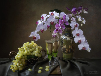 Натюрморт с букетом из орхидей / классический натюрморт