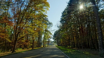 Natchez Trail / в окрестностях города Костюшко (Kosciusko), Миссиссиппи, США