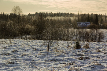 Пейзаж с рекламным щитом / ***