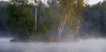 На восходе....... / Петербург. Осиновая Роща. Август