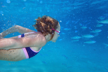 Индийский океан / ***