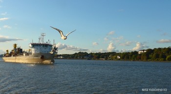 Hamburg / Альбом &quot;Лайнеры, парусники, пароходы&quot; : http://fotokto.ru/id156888/photo?album=62974 Парад кораблей:

http://fotokto.ru/id156888/photo?album=62974#photo4066175 http://www.chaika.ru/cities/2/events/0/1794/

Слайд-шоу Берег Эльбы:

https://www.youtube.com/watch?v=_8iY4QcGL-A&amp;t=8s https://www.youtube.com/watch?v=EVMHpH6SJxA

Корабли на Эльбе:

https://www.youtube.com/watch?v=DA7DProSV6o&amp;list=UUEOp3amNaNT0205lPmdFi8w&amp;index=19

Портовый центр и складской район Гамбурга:

https://www.youtube.com/watch?v=i0kxa-sex6o

https://www.youtube.com/channel/UCEOp3amNaNT0205lPmdFi8w/videos?
view=0&amp;sort=dd&amp;shelf_id=1

https://www.youtube.com/watch?v=x9J0hsMX_Zs