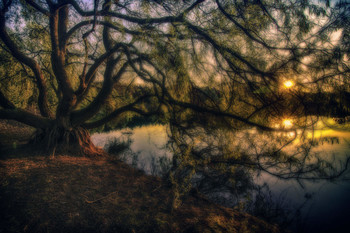 &nbsp; / Утро на озере