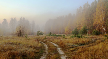 Осень / Опушка в тумане