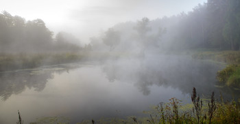 &nbsp; / Утро в сентябре