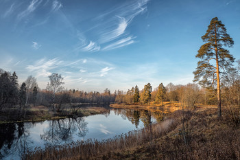 Ноябрь в Гатчинском парке. / The November landscape. Gatchina. Russia.